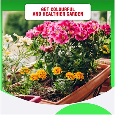 Flower Seeds With Plant Growth Stimulant (FSPGS)