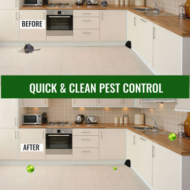 Rat & Insect Repellent Balls (Pack Of 25)